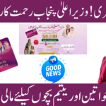 CM Punjab Rehmat Card 2026 Details