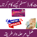 How Rehmat Card System Works Punjab 2026