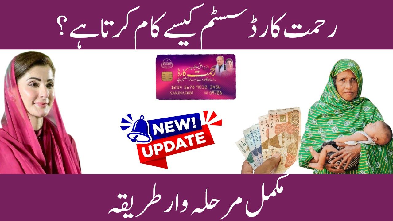 How Rehmat Card System Works Punjab 2026