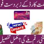 Punjab Rehmat Card Program Benefits 2026