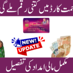 Rehmat Card Financial Assistance Details 2026